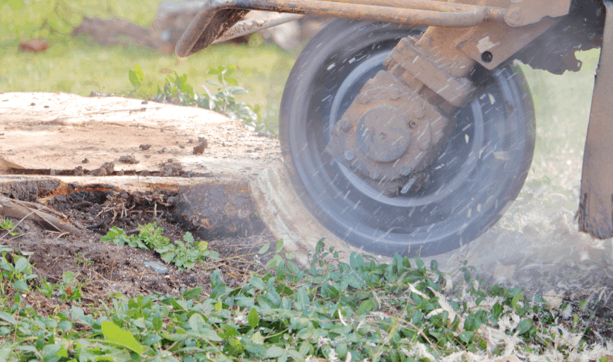 Johns Tree Service