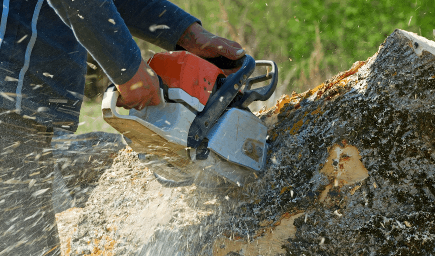 Johns Tree Service
